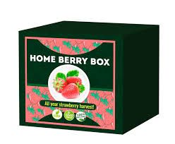 Home Berry Box - zum Abnehmen - Bewertung - forum - test